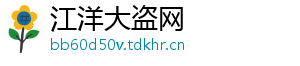 江洋大盗网